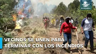 Devastadores incendios arrasan con bosque en Jilotzingo