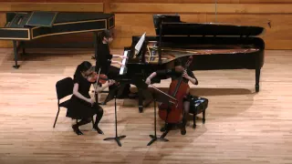 Ludwig van Beethoven - Piano Trio in c minor, Op.1, No. 3, I. Allegro con brio