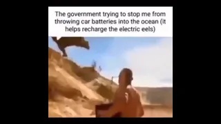 The Government trying to stop me throwing car batteries in the sea Chuck Liddell meme