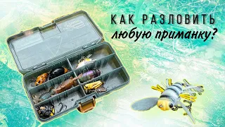 Как разловить любую приманку?