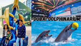 Dubai Dolphinarium | Dolphin & Seal Show | Special Summer Offer |Dubai Creek