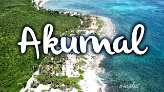 Akumal, What to do and how you can swim with turtles