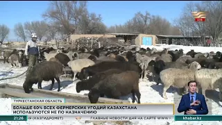 Сельчане сокращают поголовье скота из-за нехватки пастбищ