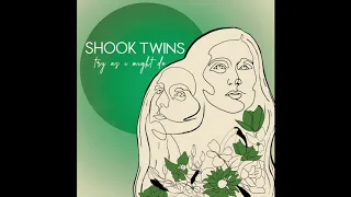 Shook Twins - Try as I Might Do