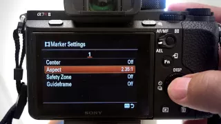 How To Enable Marker Display On Your Sony a7Rii