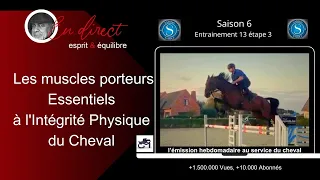 Les muscles porteurs essentiels à l intégrité physique du cheval