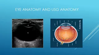 ultrasound in occular emergencies