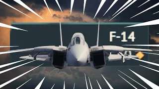 THE F-14 TOMCAT EXPERIENCE