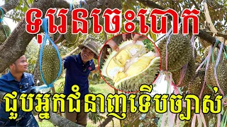 ទើបដឹងទុរេនចេះធ្វើបែបនេះ ជួបអ្នកជំនាញបានដឹងច្បាស់ សាច់ល្មួតឆ្ងាញ់ណាស់