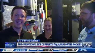 Behind the Scenes : Ripley's Aquarium of the Smokies