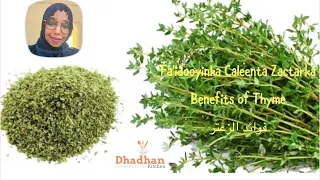 Fa'idooyinka caleenta Sactarka|| Benefits of Thyme|| فوائد الزعتر|| Dhadhan Kitchen