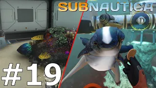 ROZBUDOWA BAZY, NOWE JAJA I ZABAWA Z PRZYTULASKIEM! Subnautica #19