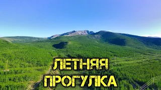 Синегорье 25.06.2023. Летняя прогулка!