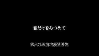 True Love (1993) - Lyrics (日中歌詞)