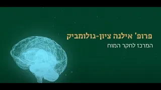 חקר מנגנוני הקשב ועיבוד שפה במוח, פרופ' אילנה ציון-גולומביק