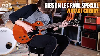 No Talking...Just Tones | Gibson Les Paul Special Vintage Cherry