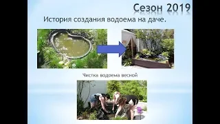 История создания водоема на даче  Чистка водоема весной