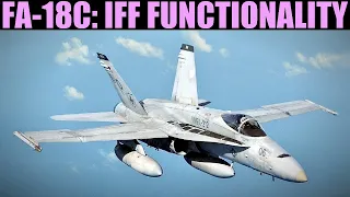 FA-18C Hornet: Basic Initial IFF Functionality | DCS WORLD