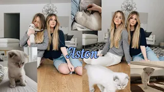 Iza and Elle tik tok with aston 😻 ( Elle's cat )