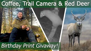 Trail Camera Collection, Red Deer, New Kit, Moonlight & Scottish Weather | Birthday Print Givaway