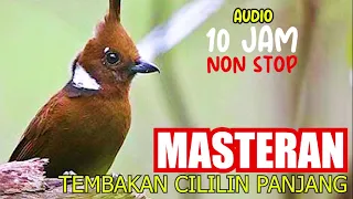 MASTERAN SUARA TEMBAKAN CILILIN PANJANG UNTUK BURUNG KICAU, AUDIO 10 JAM NON STOP