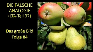 Die Falsche Analogie (LTA Teil 37) - Das große Bild Folge 84