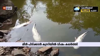 പീച്ചി വെള്ളക്കാരിത്തടത്ത് മീന്‍ പിടിക്കാന്‍ ക്വാറിയില്‍ വിഷം കലര്‍ത്തി | Thrissur | Peechi