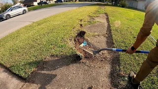 SHOCKING Transformation on this OVERGROWN Sidewalk