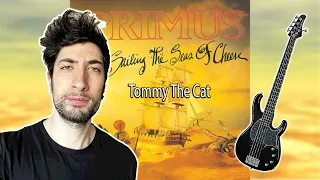 Primus - Tommy The Cat (bass cover)