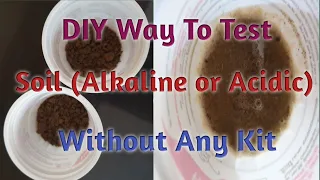 How to Test Soil (Alkaline or Acidic) easily at Home without a Kit/Testing pH of soil without a Kit