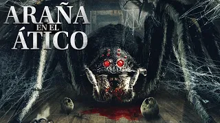 Araña en el ático (2021) Pelicula Completa - Nicola Wright, Chelsea Greenwood, Sarah Alexandra Marks