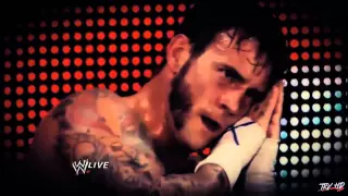 ►CM Punk Tribute 2014    Until the End ᴴᴰ ◄ #ThankYouPunk