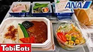 Flight Review: ANA Economy Class TOKYO-NEW YORK