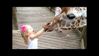 FORGET CATS! Funny KIDS vs ZOO ANIMALS are WAY FUNNIER! – TRY NOT TO LAUGH / FuNNy ViDeos
