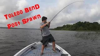 Bass Fishing Toledo Bend - Post Spawn...32 Fish on Camera!