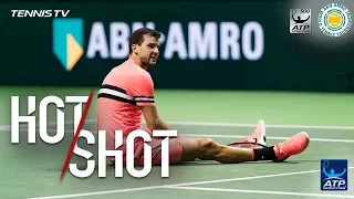 Sugita Floors Dimitrov For Rotterdam 2018 Hot Shot