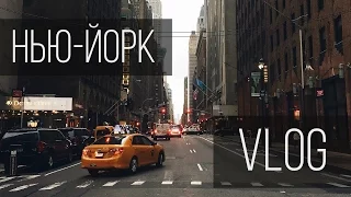 КАК ВСТРЕТИТЬ ЗНАМЕНИТОСТЬ| New York VLOG | влог обыкновенный #4