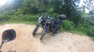 Caminho como chegar na cachueira da Concórdia em Guapimirim.