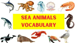 Aquatic Animals Vocabulary | Aquatic Animals Names with Pictures | Sea Animals #englishvocab