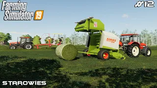 Mowing, windowing and baling | Starowies | Farming Simulator 2019 | Episode 12