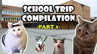SCHOOL TRIP COMPILATION PART 1 - CAT MEMES #cat #catmemes