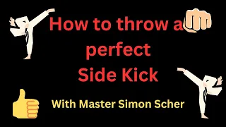 How to throw a Perfect Side Kick - by Master Simon Scher