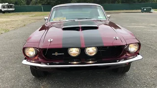 1967 Ford Mustang GT500 Tribute ! Restored Excellent Condition www.hollywoodmotorsusa.com