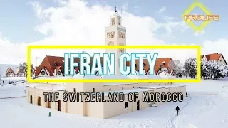 Ifran The Switzerland of Morocco-Morocco Travel Guide