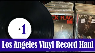 The Vinyl Guide - Los Angeles Record Haul 1 of 8