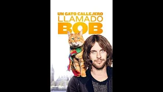 Un Gato Callejero Llamado Bob - (Película Completá) Español