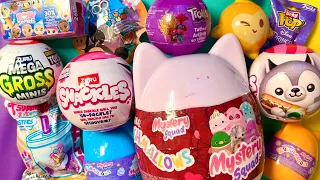 OVER 17 MYSTERY SURPRISE BLIND TOYS Snackles ASMR Unboxing Squishmallows