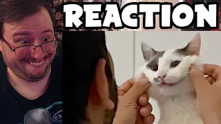 Gor's "UNUSUAL MEMES COMPILATION V237 by UnusualVideos" REACTION