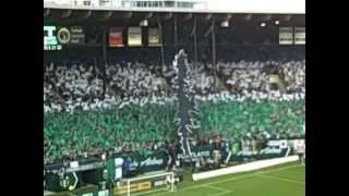 Timbers Army Cascadia Tifo