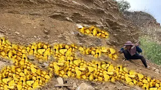 wow amazing day! gold miner found a lot of gold treasure under stone million years